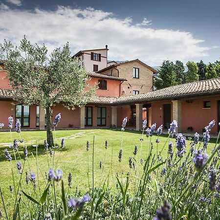 Appartamenti Poggio Fiorito Assisi Exterior foto